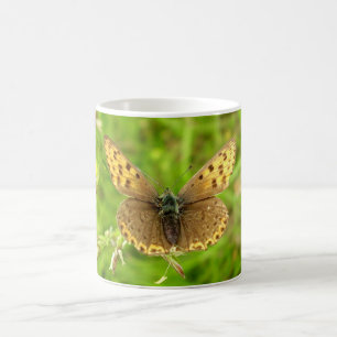 Purple Edged Copper Butterfly Bug Mug