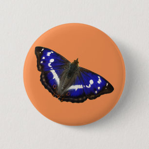 Purple Emperor Butterfly 6 Cm Round Badge
