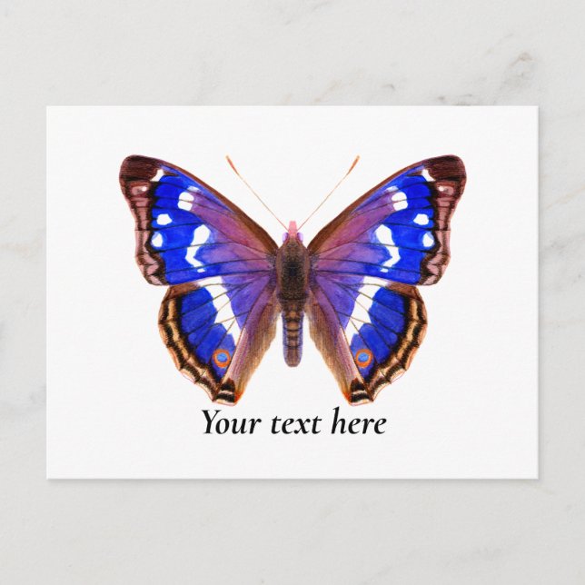 Purple Emperor Butterfly Watercolor Art Postcard (Front)
