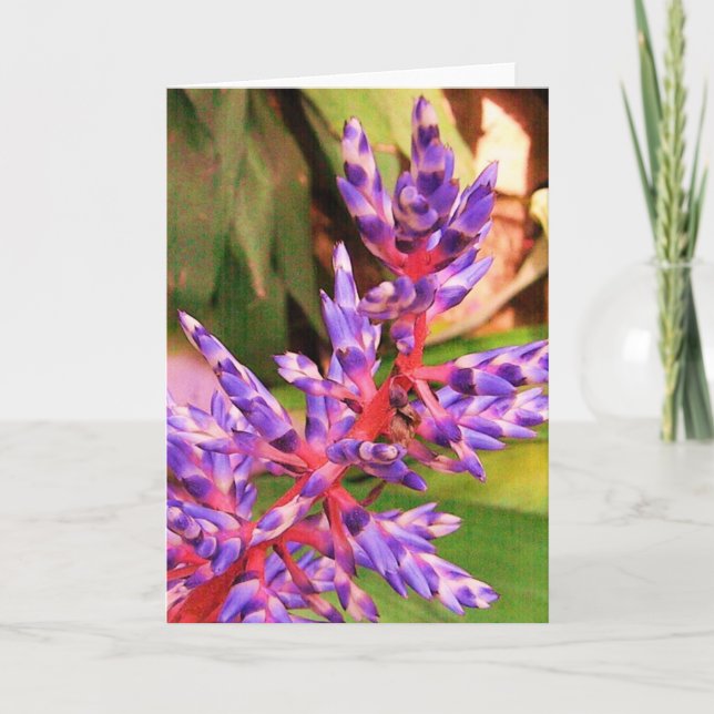 Purple Exotic Blossom Plant Greeting Card (Front)
