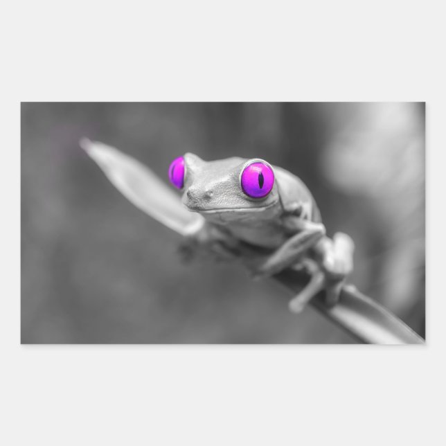 Purple-eyed frog rectangular sticker (Front)