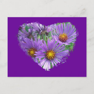 Purple Fall Asters Wildflower Matching Items Postcard