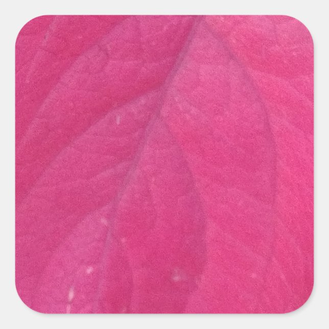 Purple Fall Leaf Square Sticker (Front)