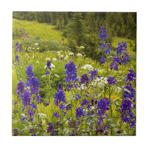 Purple Field Tile