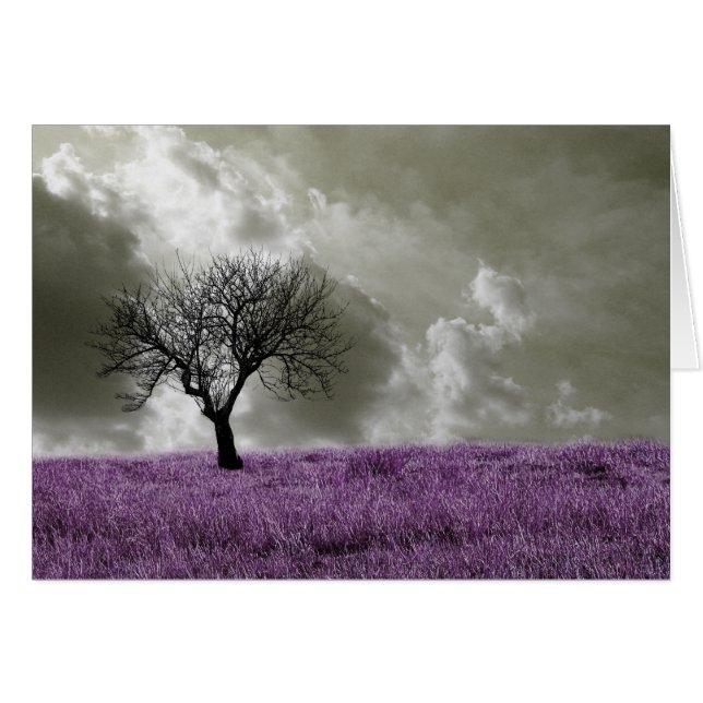 Purple Fields (Front Horizontal)