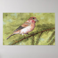 Purple Finch Art
