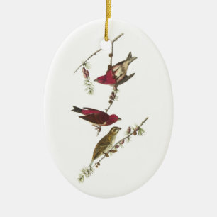 Purple Finch by Audubon Ceramic Tree Decoration