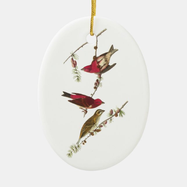 Purple Finch by Audubon Ceramic Tree Decoration (Front)