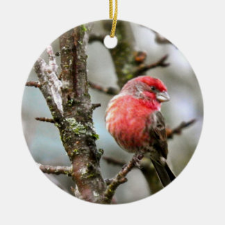Purple Finch Ceramic Tree Decoration