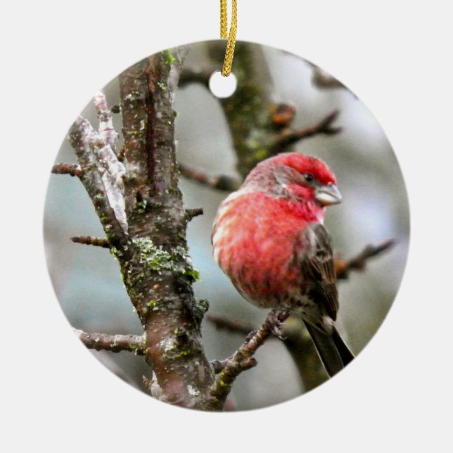 Purple Finch Ceramic Tree Decoration (Front)