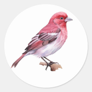 Purple Finch Classic Round Sticker