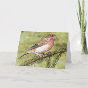 Purple Finch Greetings Card