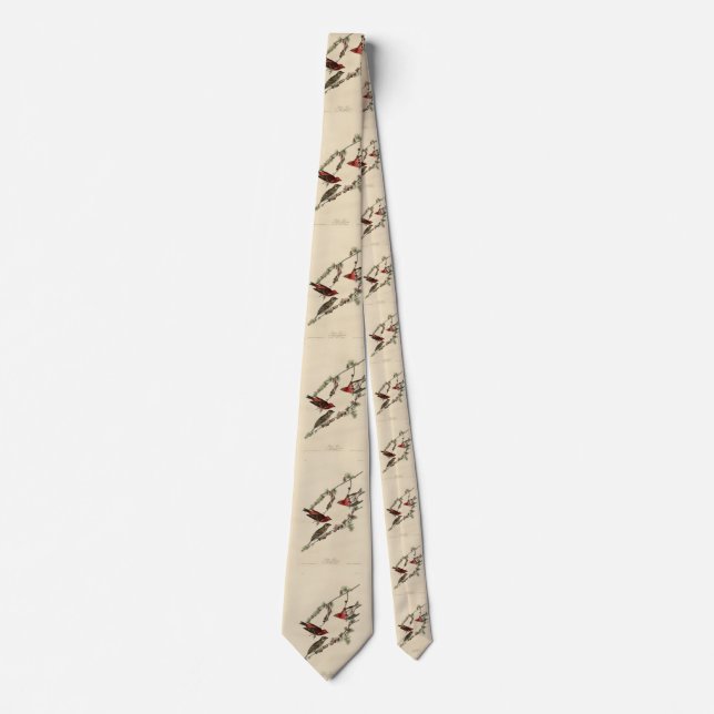 Purple Finch - John J. Audubon's Birds of America Tie (Front)