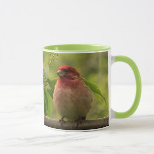 Purple Finch Mug