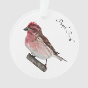 Purple Finch Ornament