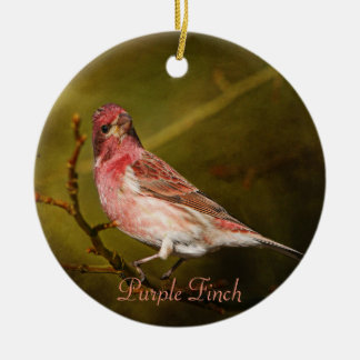 Purple Finch Photography Round Ceramic Tree Decoration