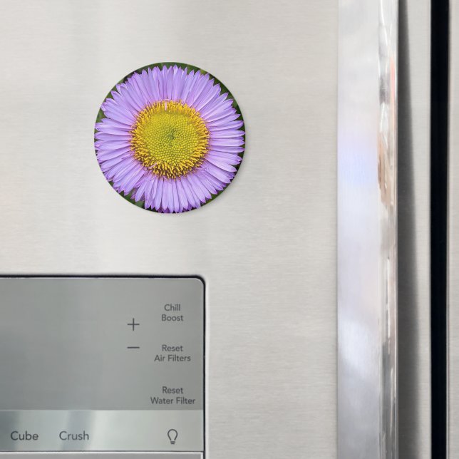 Purple Fleabane Daisy Floral Magnet (In Situ (Fridge))