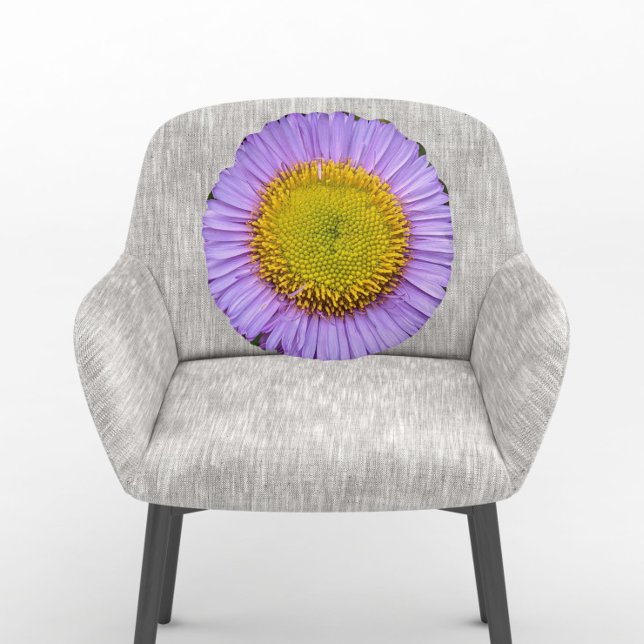 Purple Fleabane Daisy Floral Round Cushion (In Situ Chair)