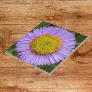 Purple Fleabane Daisy Floral Tile