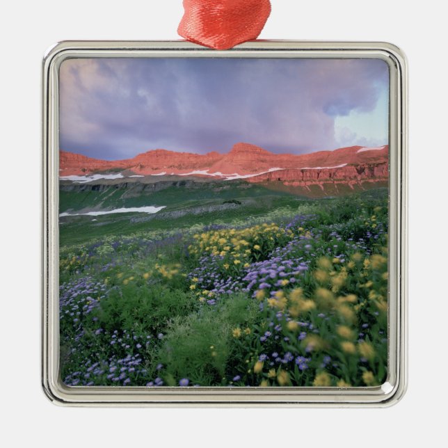 Purple Fleabane (erigeron peregrinus) and Yellow Metal Tree Decoration (Front)