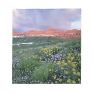 Purple Fleabane (erigeron peregrinus) and Yellow Notepad
