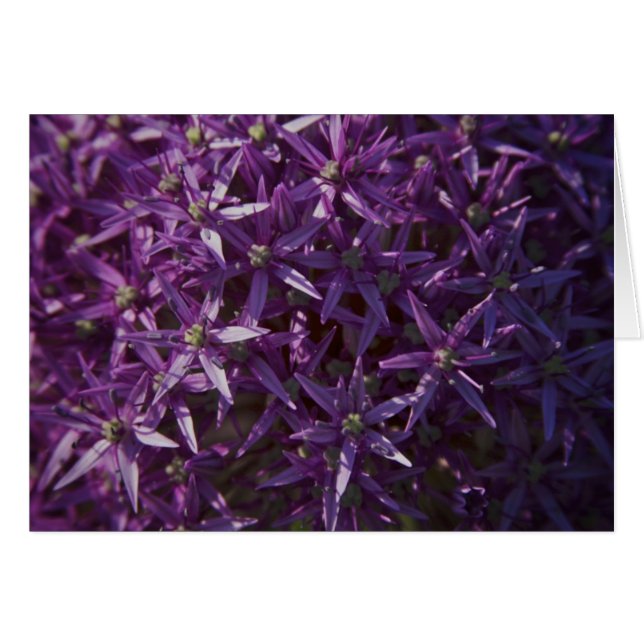 Purple Floral Bloom Blank Card (Front Horizontal)