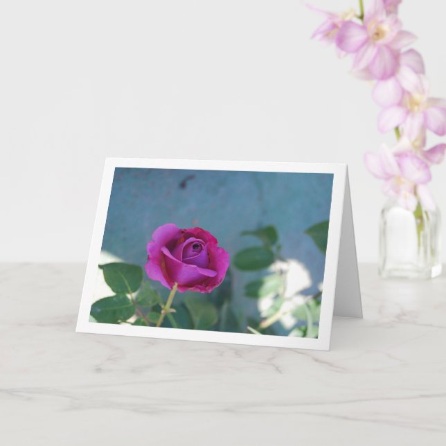 Purple Floral Garden Rose Card (Orchid)