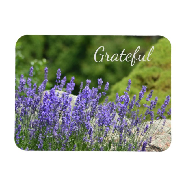 Purple Floral Gratitude Magnet (Horizontal)