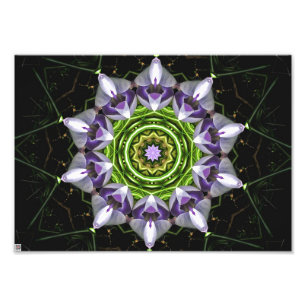 Purple Floral Mandala Kaleidoscope Art Photo Print
