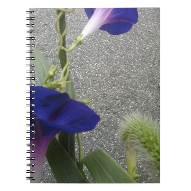 Purple Floral Notebook (Front)
