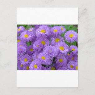 Purple Floral Postcard