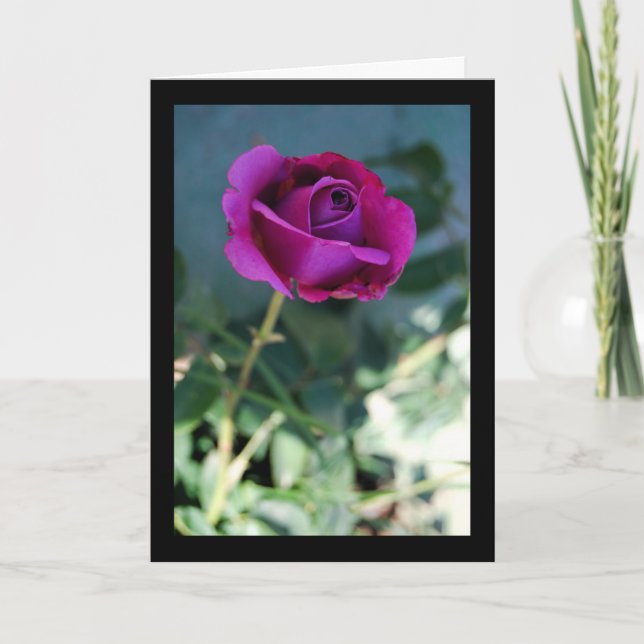 Purple Floral Rose Card (Front)