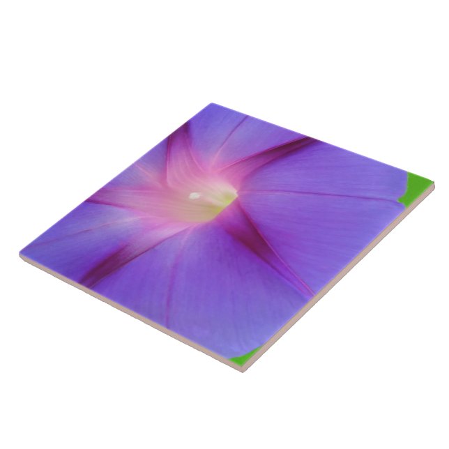 Purple Floral  Tile (Side)