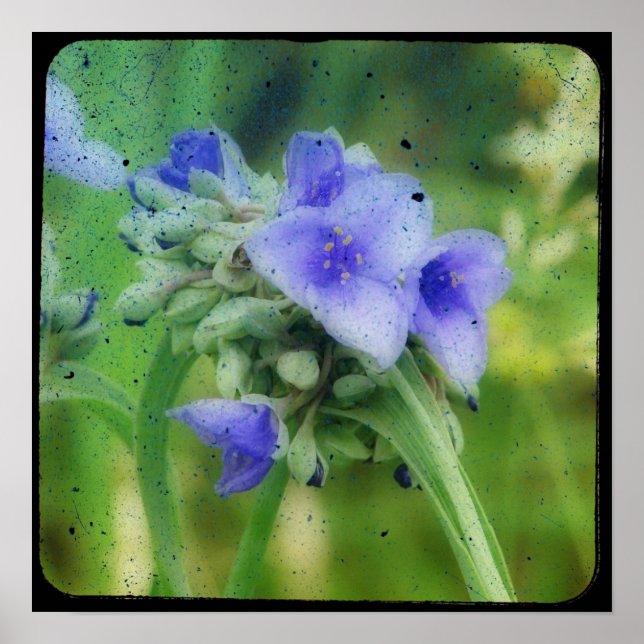 Purple Floral TTV Poster (Front)