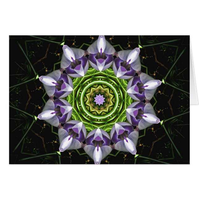 Purple Flower (Front Horizontal)