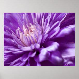 Purple Flower Abstract Poster
