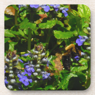 Purple Flower and Bumble Bee Coaster