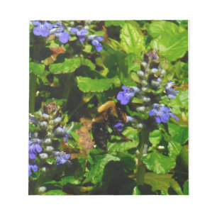 Purple Flower and Bumble Bee Notepad