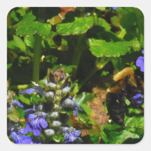 Purple Flower and Bumble Bee Square Sticker