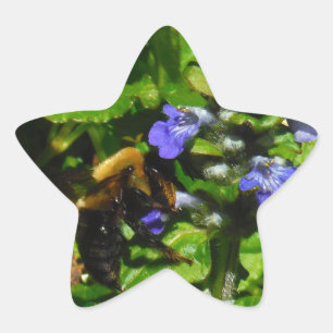 Purple Flower and Bumble Bee Star Sticker