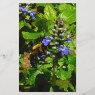 Purple Flower and Bumble Bee Stationery