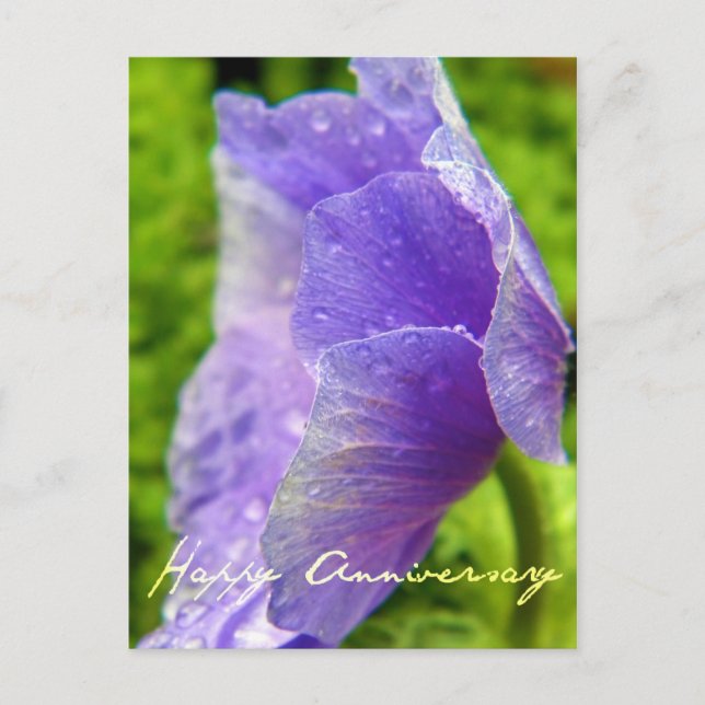 Purple Flower Anniversary Postcard (Front)