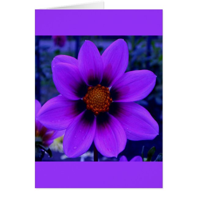 Purple Flower at Dusk Card (Front)