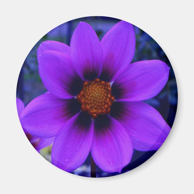Purple Flower at Dusk Magnet (Front)