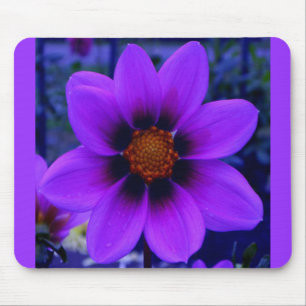 Purple Flower at Dusk Mouse Mat