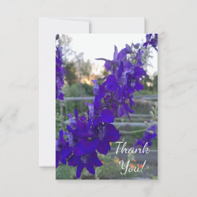 Purple Flower at Sunset Thank You Card (Front)
