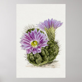 Purple Flower Cactus Sketch Art Poster