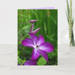 Purple Flower Card