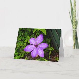 Purple flower greeting card
