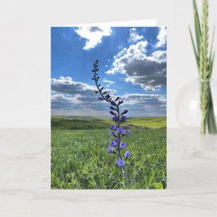 purple flower greeting card (blank inside)